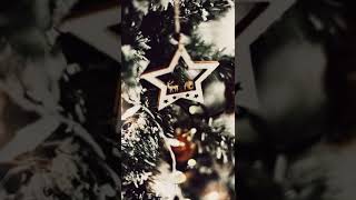 Most Aesthetic Christmas status | Carol of bells | Teen editor