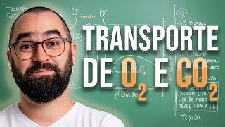 Transporte de O2 e CO2 - Aula 23 - Módulo 7: Fisiologia Humana