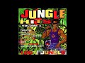 Various - Jungle Hits Vol. 1 (1994)