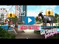 How to get Goat City Bay for Free In Goat Simulator Mobile!!!