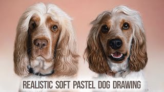 Realistic Dog Portrait Art Time-lapse | Show Cocker Spaniels