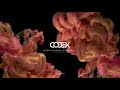 Karim Alkhayat, Who Is Hush - Join Me (Original Mix) // CODEX