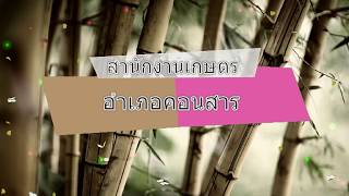 กลุ่มวิสาหกิจชุมชนกลุ่มปลูกผักปลอดสารพิษบ้านโคกนกทา อำเภอคอนสาร