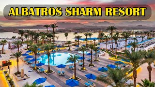 Where to Stay in Sharm El Sheikh - Exploring Albatros Sharm Resort