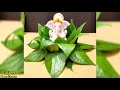 saraswati decoration ideas betel leaf puja decoration ideas at home 2021