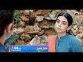 Haq Mehar | Launch Promo 05 | Starting from Tomorrow | Daily at 7:00 PM | Har Pal Geo