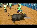 2023 பெரிய அணைக்கரைப்பட்டி ஜல்லிக்கட்டு hilights periya anaikkaraippatty @trendingjallikattu360