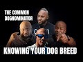 Why Knowing Your Dog's Breed Matters : The Common Dognomiator Ep. 1 @FitBullyTv