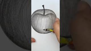Easy Apple Drawing#How To Draw A Apple🍎🍎#Short#Youtubeshort#Trending@Shubh champa