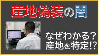 【産地偽装】食の安全を守る⁉どうやって産地がわかる？産地を見分けるICP-MSとは？