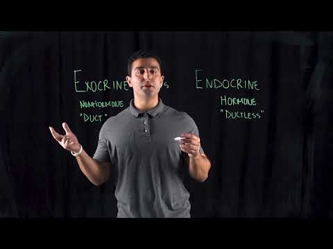 What is the difference between endocrine and endocrine gland?