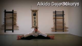 Aikido pramankšta Aikido dojo Sūkurys