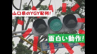 『信号機動画（296）』山口のYGY配列予告灯