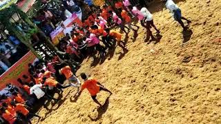 Jallikattu in sannavur D.eesudoss madu