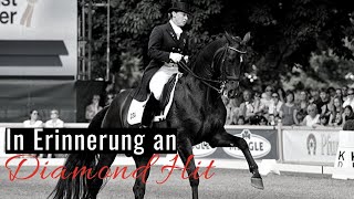 Erinnerungen an Diamond Hit ✨ | Seine Verabschiedung aus dem Sport | OLD Hengsttage Vechta