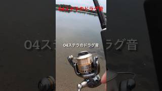 シマノ04ステラのドラグ音です！！竿はジャッカルのポイズンアドレナです。#shorts #スピニングリール #ドラグ音 #fishing#バス釣り #淀川 #bassfishing