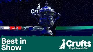 Best in Show and Presentation | Crufts 2026