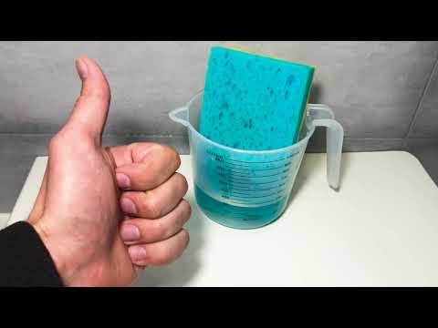 Does the composition of a sponge affect the amount of water absorbed?