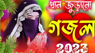 🌿 Bangla Gazal | Ghazal 2023 | Islamic Gazal 2023 | Notun Gojol 2023 | Gazal 2023 | islamic gojol