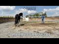 Paso 3: Control de Velocidad, 3 de 3 Pasos para una Mejor Conexión y Relación con mi Caballo