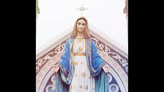 "My Daughter Was Healed on the Feast of the Immaculate Conception." (The Inner Life with Patrick ...