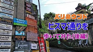 バリ島ウブド・ビスマ通りを歩いてみた（後編）/I took a walk at Bisma ubud Vol.02