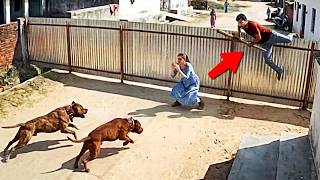 Good Samaritans Saving Lives Real Heroes Caught On Camera