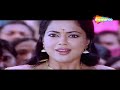 narasimhudu narsinha movie marathi south dubbed movie jr. ntr amisha patel sameera reddy