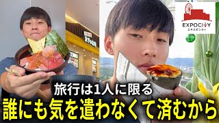 旅行というものは1人がベストなのだよ。誰にも気を遣わない【大阪エキスポシティ】