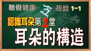 《認識耳朵》第1堂：耳朵的構造｜兒童｜聽力｜SDGs｜終身學習｜聽損｜教育｜健康