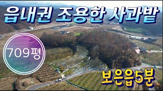 ★매물번호10231★충북 보은/7000만/농막 놓을 곳/지대 높은 토지/사과 과수원/보은읍 5분/보은 옥천 영동 상주