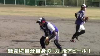 ソフトボール　2016ＧＥＭ３（女子Ｕ19日本代表）選考会