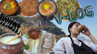 먹방 VLOG| 단풍도 뱃살도 이븐하게 익어가네🌾(모주, 보쌈, 콩나물해장국, 부추전, 해물김치전, 짜파구리, 마시멜로케이크, 밤티라미수 생크림빵, 김밥, 라볶이)