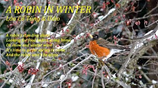 A ROBIN IN WINTER - LCT \u0026 Udio