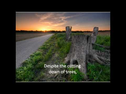 Save our mother Earth. Save our mother Earth.