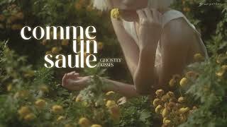 | Vietsub | Comme un saule - Ghostly Kisses