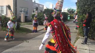 Bermuda Gombeys - Gombeys Warriors Boxing Day