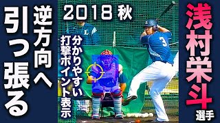 逆方向へ引っ張る！縦画面で見る浅村栄斗選手の打撃練習 スローモーションあり 2018秋