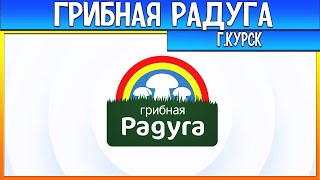 Грибная радуга стоит ли работать в 2022 году?