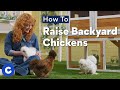 How To Raise Backyard Chickens l Chewtorials