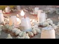 रात 3 बजे लाइव | ठंडी में ब्रूडिंग | The Bro Poultry