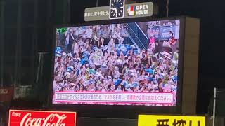 東京音頭 ラッキー7 東京ヤクルトスワローズ 明治神宮野球場 2022/07/19