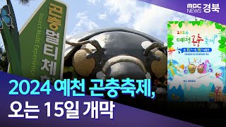 아침]2024 예천 곤충축제, 오는 15일 개막/ 안동MBC