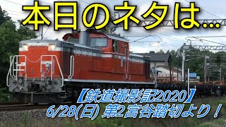 【鉄道撮影記2020】6/28(日) 第2宮谷踏切より！