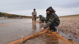 Yakutia/Bolugur (Eng sub)