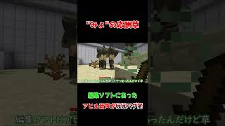 これ誰が使うん??笑#shorts #マイクラ