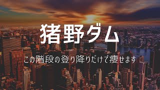 ドローンで撮影！1分で癒される猪野ダム。