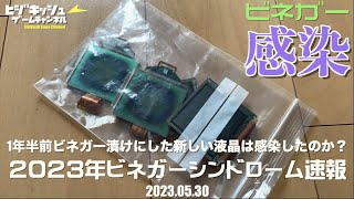 【実験】ビネガー液晶に1年半漬けておいた綺麗な液晶は感染してしまったか？ いよいよ梅雨到来！ビナガー対策をしよう