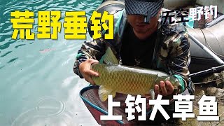 【無空野釣】荒野垂釣，草魚上釣大草魚 #探险 #户外 #钓鱼生活 #钓鱼高手 #钓鱼分享 #钓鱼佬 #大鱼