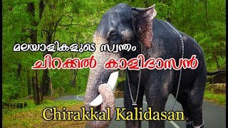 Chirakkal Kalidasan elephant - Most famous elephant -ആനപ്രേമികളുടെ സ്വന്തം കാളി